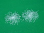 ��q���߰l(f��)չ���g�V�