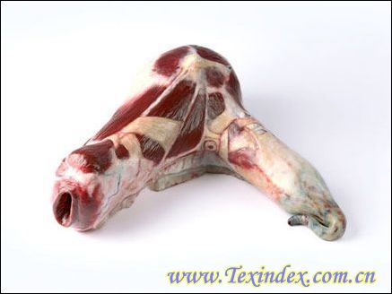 �i�����ļҾ���Ʒ�������