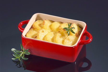 ��echenprofi�N���O(sh��)Ӌ