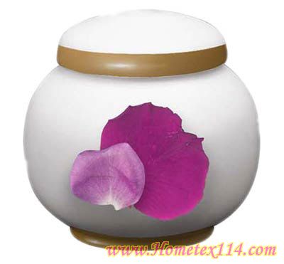 �����һ��t�����Ĳ;�������