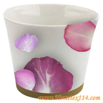 �����һ��t�����Ĳ;�������