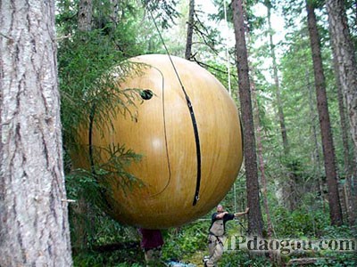 ������˼��(chu��ng)�����w�Ƅӷ���