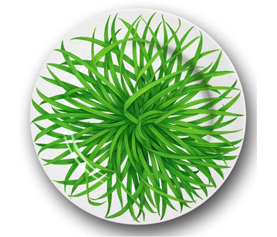 ���Gɫ�;ߠI�촺���Ϣ