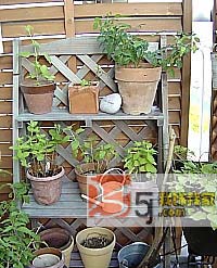 ���fů��֮�ú��L(f��ng)��(x��)��(x��)��С��