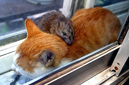 ��(chu��ng)�I(y��)�ؿ�ʮ�󽛵�Ҫ�E