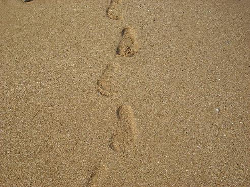 ʩ�����������΄�(chu��ng)�I(y��)�ɹ���