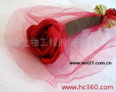 ��ˇ�b��S���������̼Ҍ���