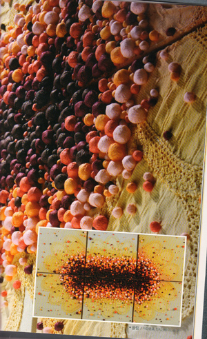 �n����(chu��ng)�������p��