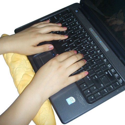 �n��(gu��)�����L(zh��ng)����I�P(p��n)�o(h��)��