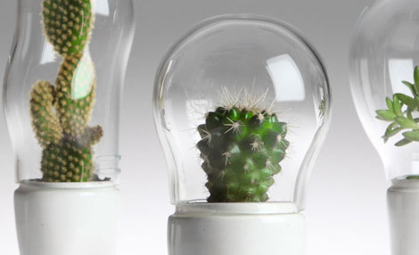 ������Ц����ѝ�ӵ�����