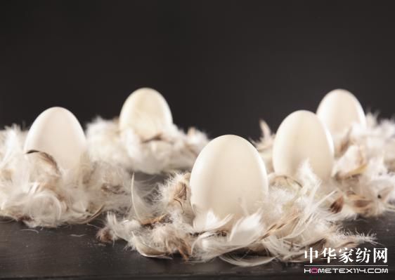 �Ї���q���߮a�I(y��)�l(f��)չ�ߌ�Փ�����_