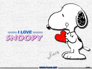 金號集團(tuán)miffy授權(quán)后博得史努比獨(dú)家授權(quán)