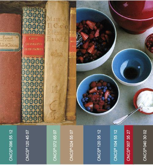 2011���ļҼ�څ��ָ��(d��o)