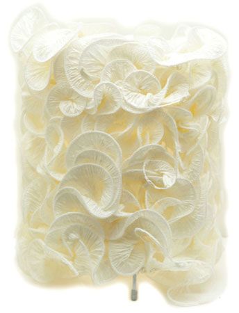 �Ҿ��O(sh��)Ӌ(j��)�г��ÿ����������