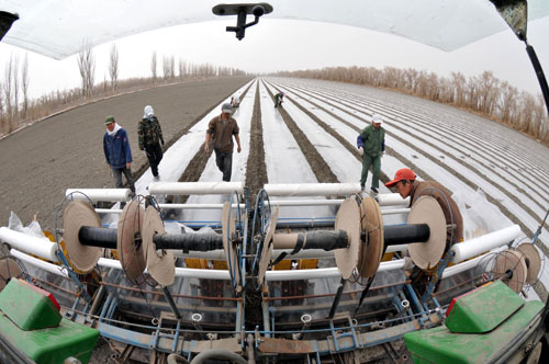 ����ľ���^(q��)�޻����N���_��Ļ