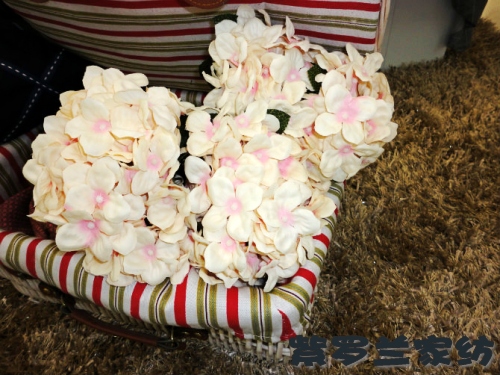 ���_�mƷ�ƘO���貼�(x��)��(ji��)