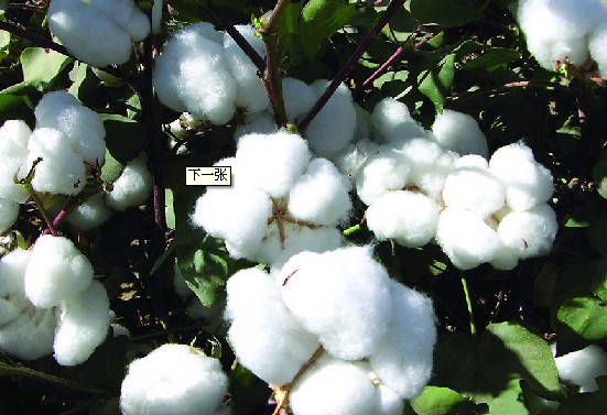 ����ƣܛ���޻�֔���P����ǰ