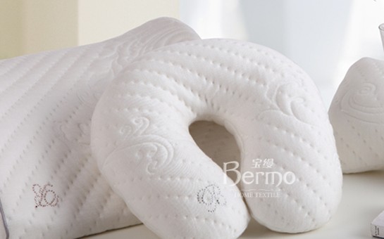 ���z�Ҽ���ʮһ������������