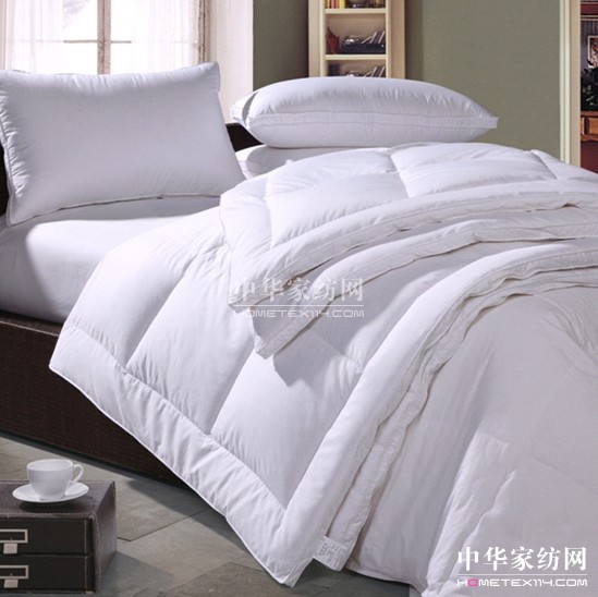 �{���Ҽ�2011�����ƏV��