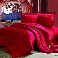 ���٣�FQFS002-4��