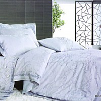 ���L(f��ng)�G�⣨FYFS003-4��