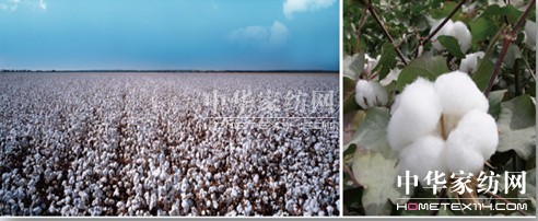 ���N�������N��һ�w�� ��(chu��ng)����Ҽ��wϵ