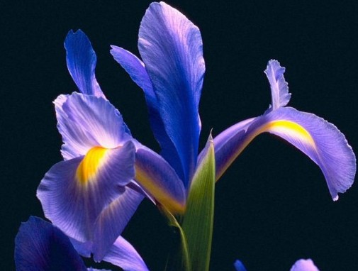 �L(f��ng)��2011 Ҋ�C���_�m�ĿƼ���(chu��ng)��