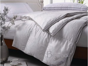 ��q�����B(y��ng)����