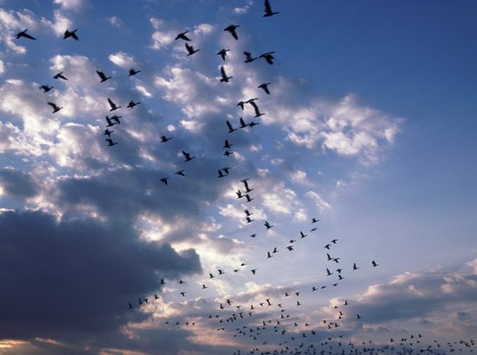 �ѻ��Ҽ�����������Փ���F(tu��n)꠾���