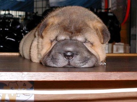 �H�������˯һС�r����