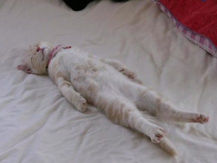 �H�������˯һС�r����