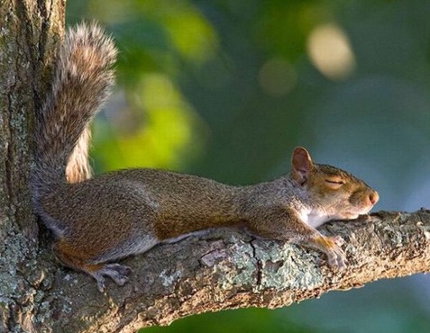 �H�������˯һС�r����