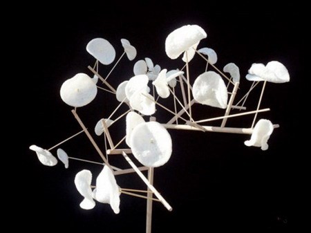 ����(sh��)���͵����wˮ���P(p��n)