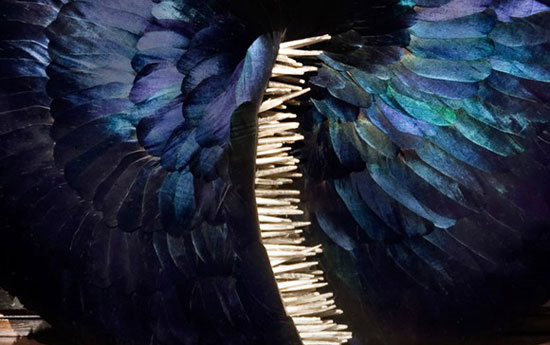 ��(chu��ng)�����}����ϵ����ë����