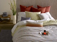 ����z2012����̫ƽ��ϵ��տ�{(l��n)�ǈ�(ch��ng)