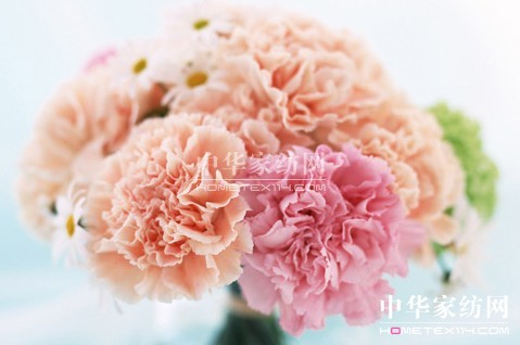 ĸ�H��(ji��)��׌�Ҽ����o������˯��