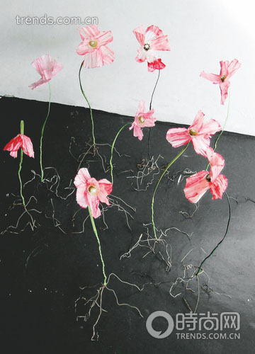 DesignIndabaEXPO����Ʒ���x