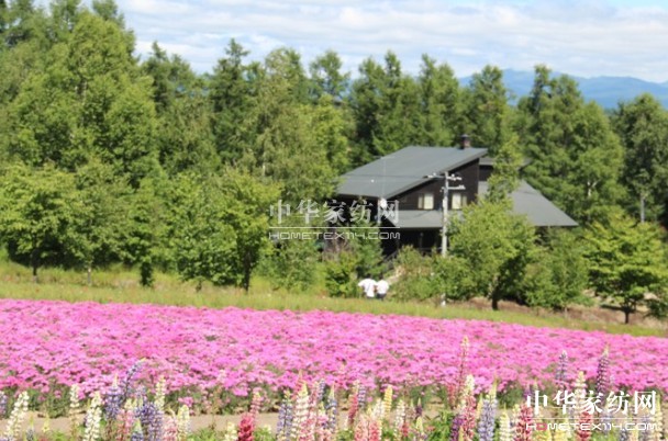 ����Ҽ���푡����ڲ��������ϱ����������������