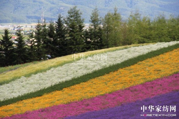 ����Ҽ���푡����ڲ��������ϱ����������������