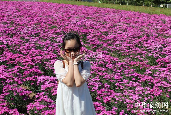 ����Ҽ���푡����ڲ��������ϱ����������������