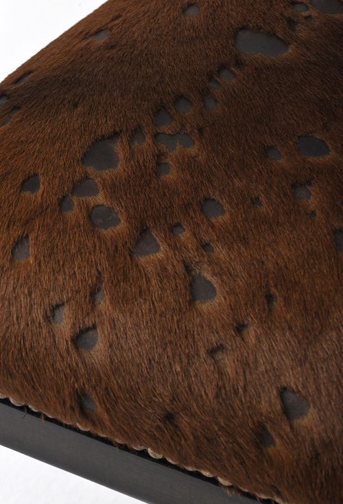 �����f��(y��n)�e��(d��ng)�������������p