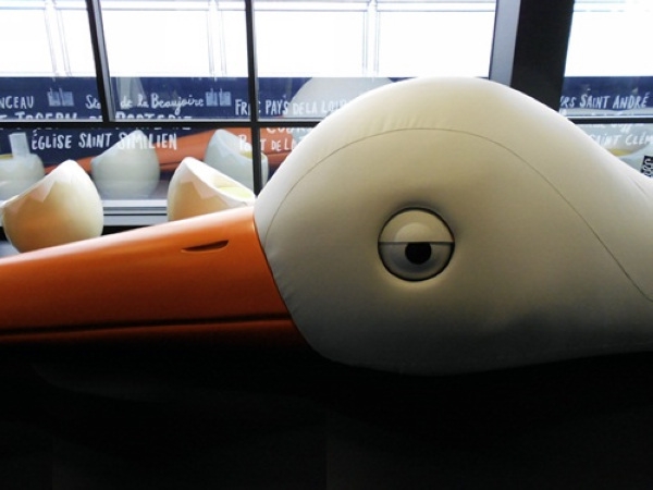 ��(d��)���B�����η���(gu��)�������B���ư�