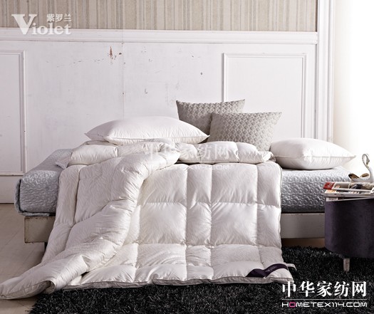 �����h�会(x��)��(sh��)���_�m���c(di��n)���^��