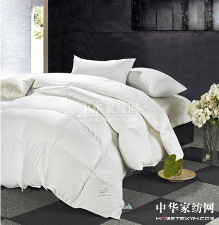 ����ůꖱM���{(l��n)�z��Ҽ�