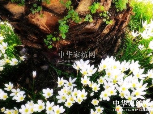 ���z�Ҽ����ƌW(xu��)���o�(q��)���F��