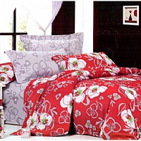 ��������(�t)