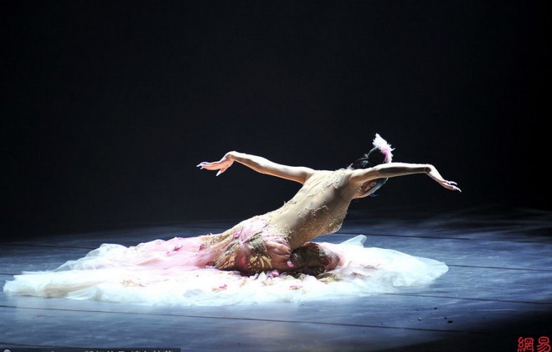 楊麗萍南昌奉獻(xiàn)謝幕之作