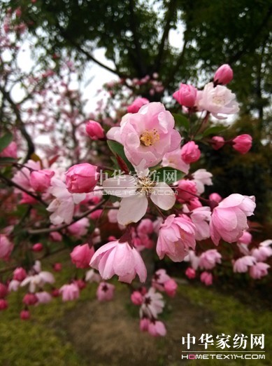 ���z�׌á�����▪���L�����}�zӰ��ِ�Є�(d��ng)��Ļ