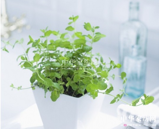 ���_�mС�Nʿ  ���ȥ���҃�(n��i)�^(gu��)��Դ