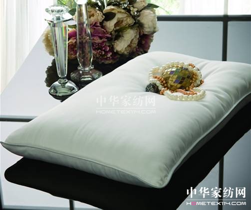 ���z�Ҽ����@�Ӳ���Ъ���^��